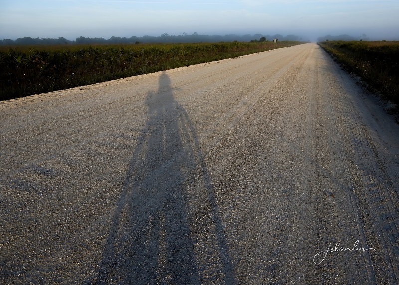 Alone Again, Nature-Ally