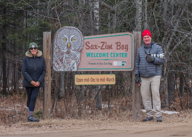 Sax-Zim Bog: Three Times A&nbsp;Charm?