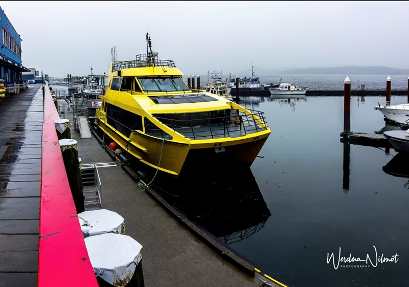 Murals and Eagles and Bears, Oh&nbsp;My!