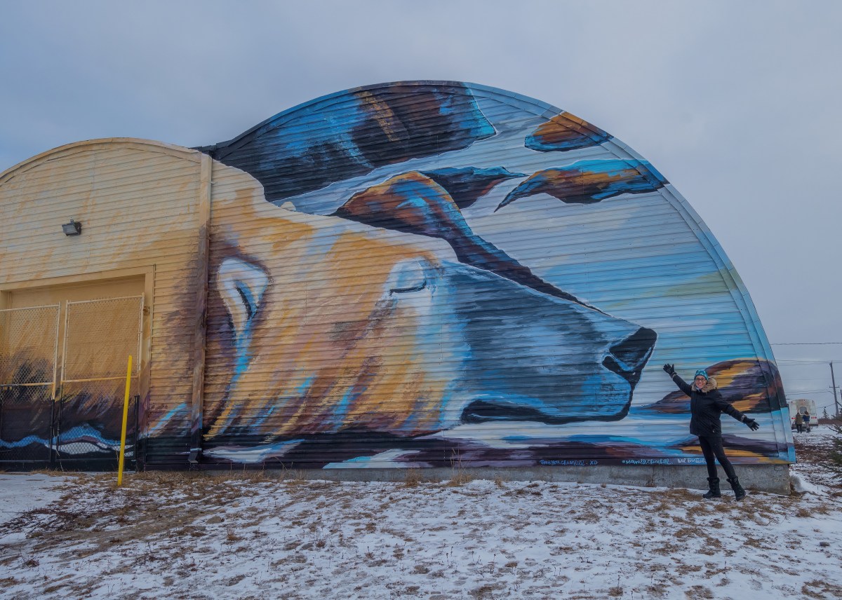 My Lords of the Arctic Learning Vacation, Churchill Manitoba&nbsp;10/31-11/5/24